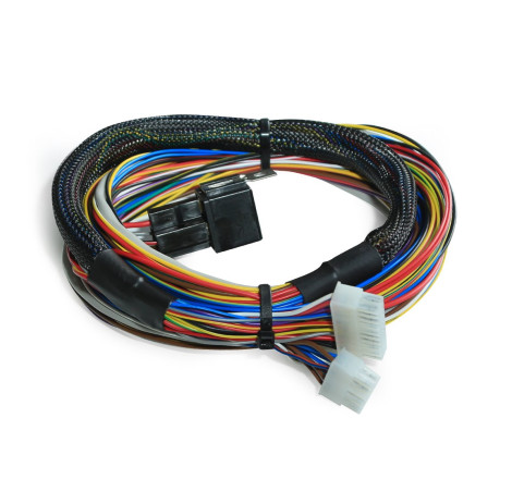 4X 36-1 Wiring Harness