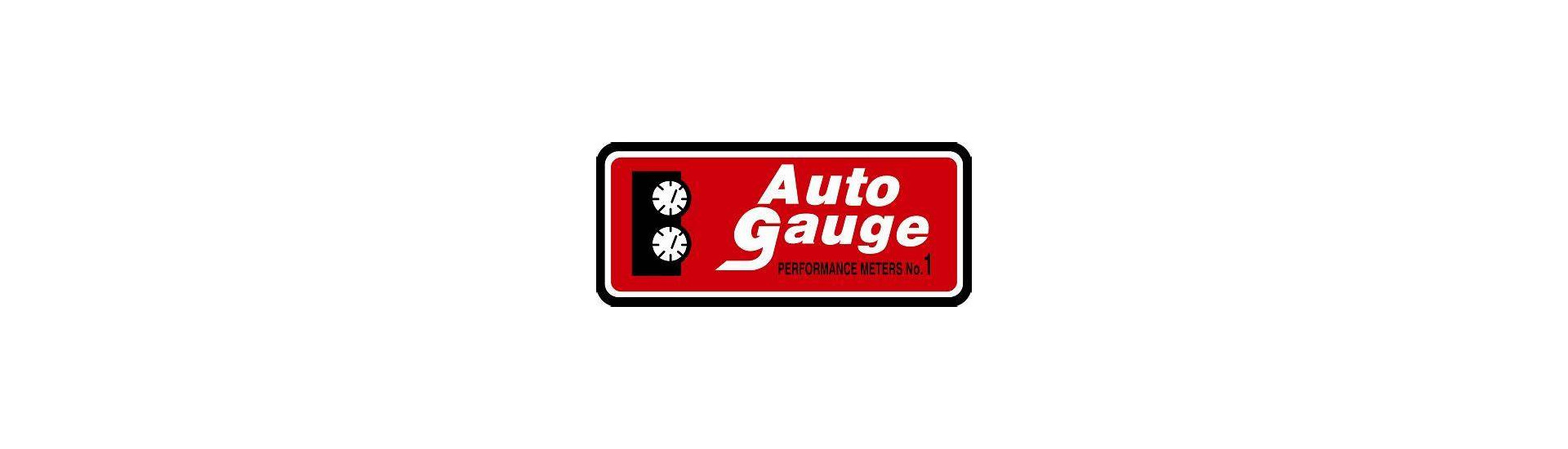 AutoGauge