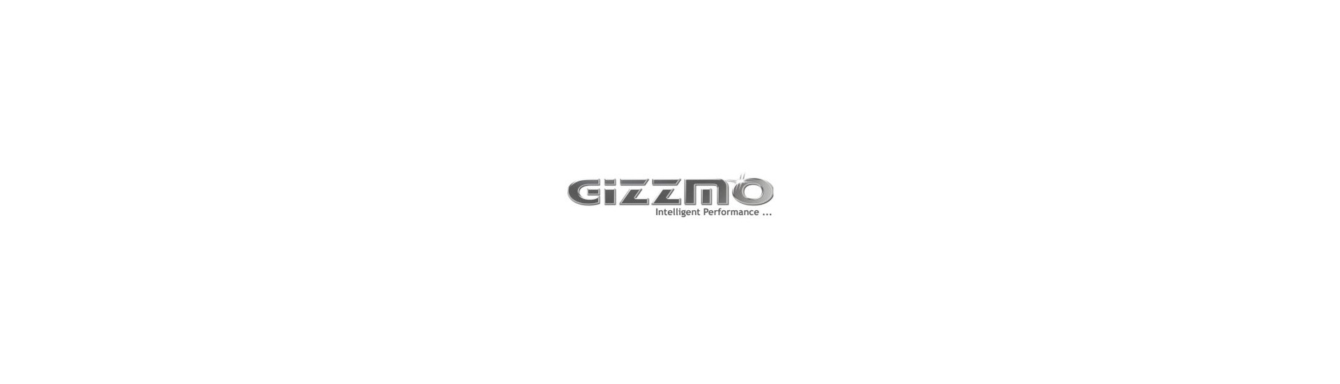 Gizzmo